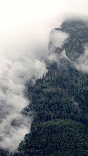 高桥名人冒险岛截图3