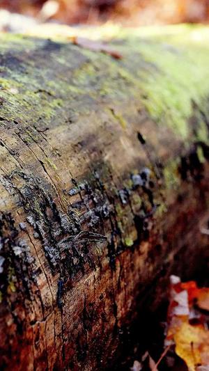 冒险岛130级去哪升级截图5