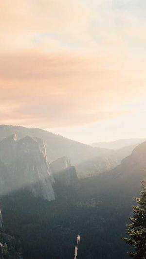 最新传奇sf网站截图1