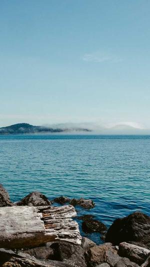 冒险岛现在什么职业强截图3