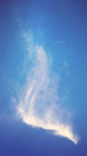 梦幻西游版传奇私服截图2