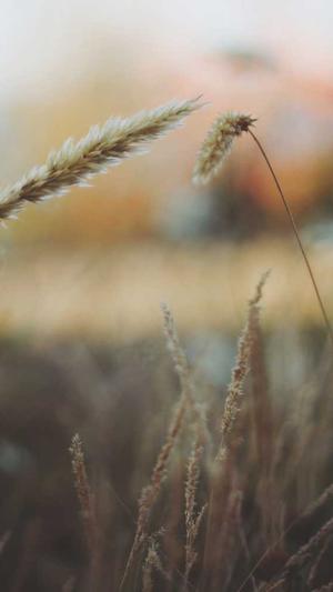 dnf男魔法师转什么职业好截图3