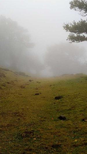 梦幻西游私服外挂截图3